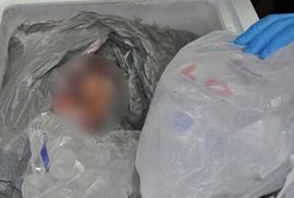 Ubio brata, isjekao ga na komade i držao u zamrzivaču pored svježe ...