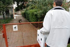 Pas ugrizao popisivača u Bijeljini