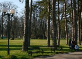 Počela izgradnja teretane u parku "Mladen Stojanović"