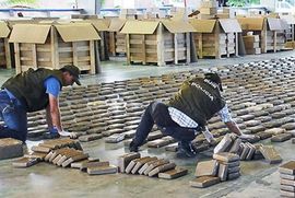 Kolumbija: Zaplenjeno više od tone kokaina