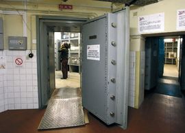 Antić: U Titovom sefu imovina Karađorđevića
