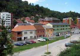 Pavlović: U Srebrenici popisano duplo više od stvarnog broja osoba