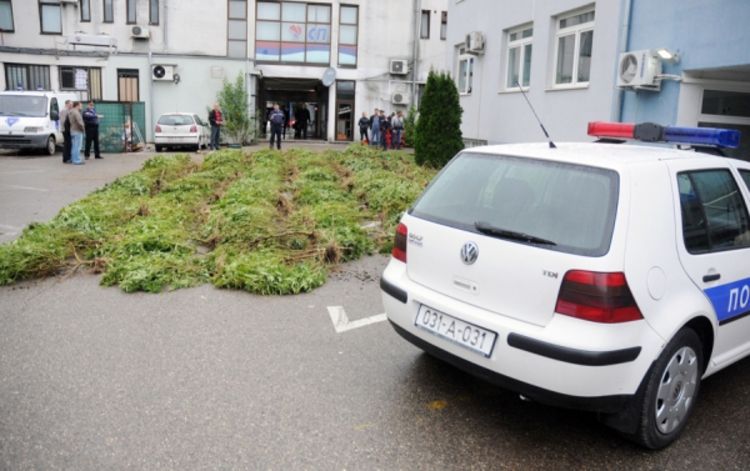Rekordna zapljena skanka u Miloševcima, kod Laktaša