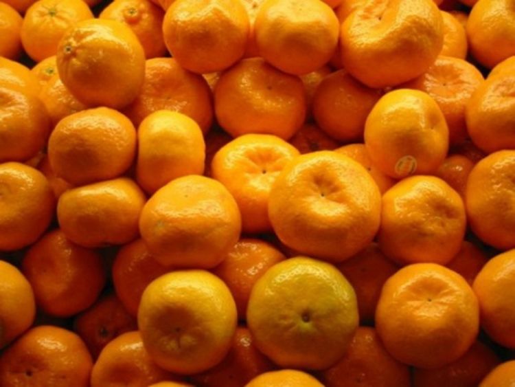 Mandarine dolaze: Četiri razloga zašto ih maksimalno iskoristiti ove sezone