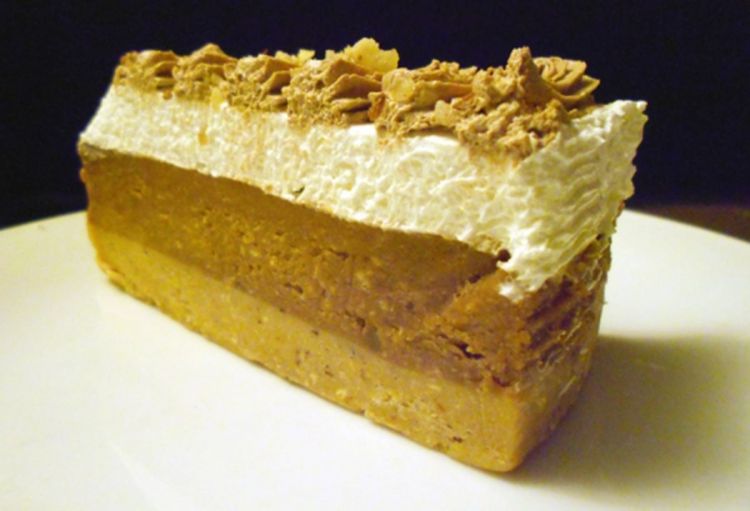 Plazma torta