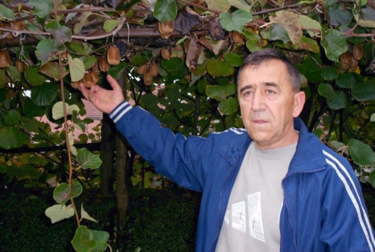Ljubav prema autohtonom i drugom voću