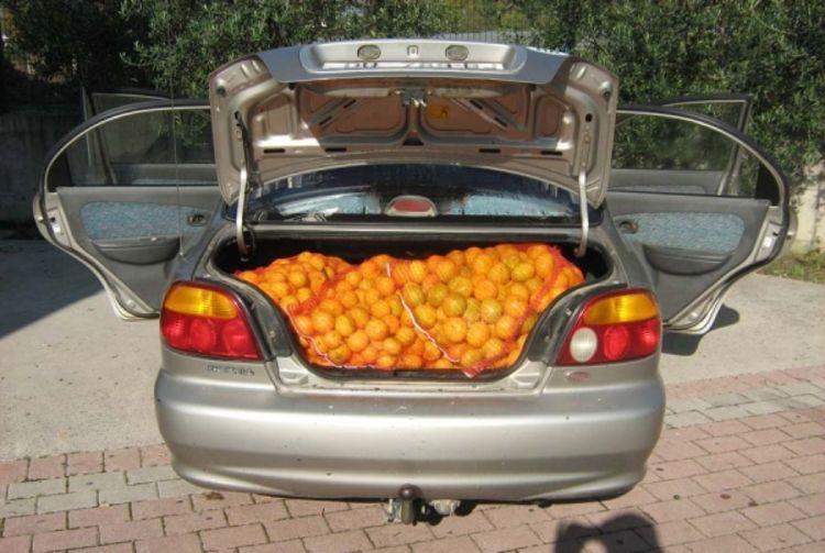 Spriječeno krijumčarenje 900 kilograma mandarina
