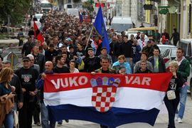Vukovar iznad Ustava