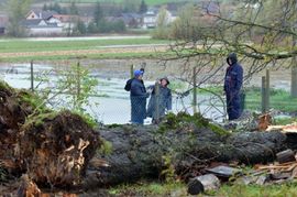Prva žrtva nevremena u Hrvatskoj: Poginuo na farmi