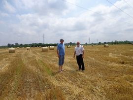 Šteta na kukuruzu 2,5 miliona KM