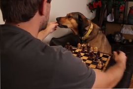 Karlovčanin čija se video molba poput virusa proširila internetom ...