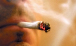 Inicijativa u Hrvatskoj: Za ili protiv legalizacije marihuane