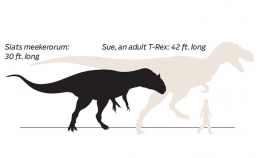 Dinosaurus koji je terorisao tiranosauruse