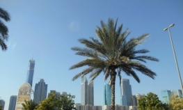 Dubai: Svaki lokalac na poklon dobija vilu do 500 m2