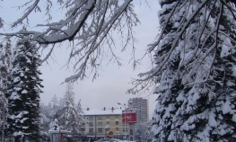 Doboj pod snijegom, oboreno 30 stabala