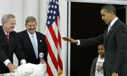 Obama pomilovao dvije ćurke pred Dan zahvalnosti