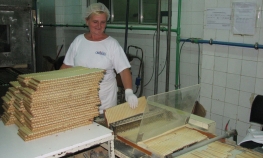 Nova Ivančica i Mira reklama za strane investitore