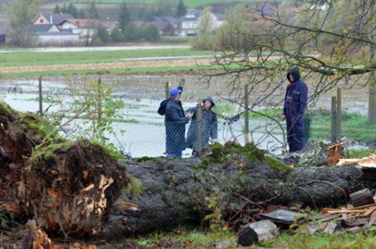 Prva žrtva nevremena u Hrvatskoj: Poginuo na farmi
