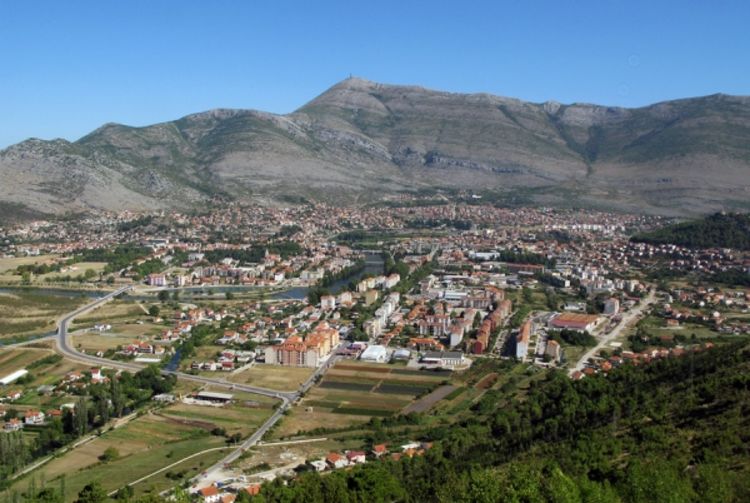 Najezda pacova u trebinjskim neboderima