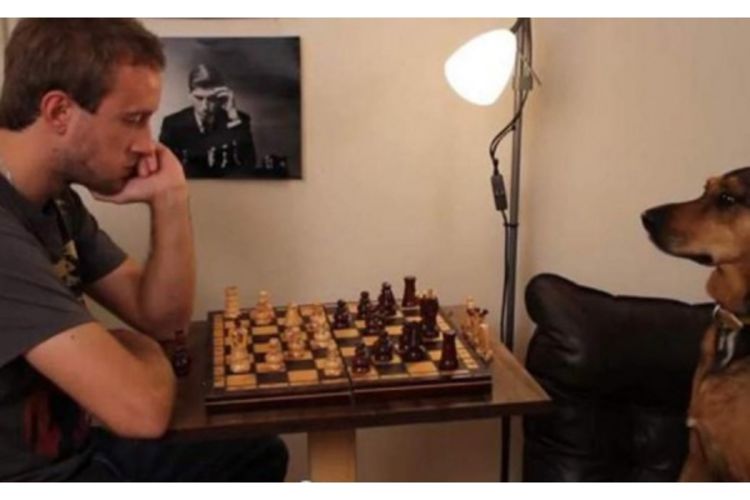 Zanimljiva video molba za posao