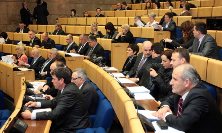 HDZ-ovi delegati protiv