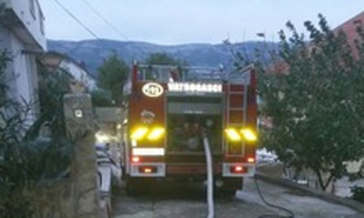 Planula dvospratnica, nema stradalih