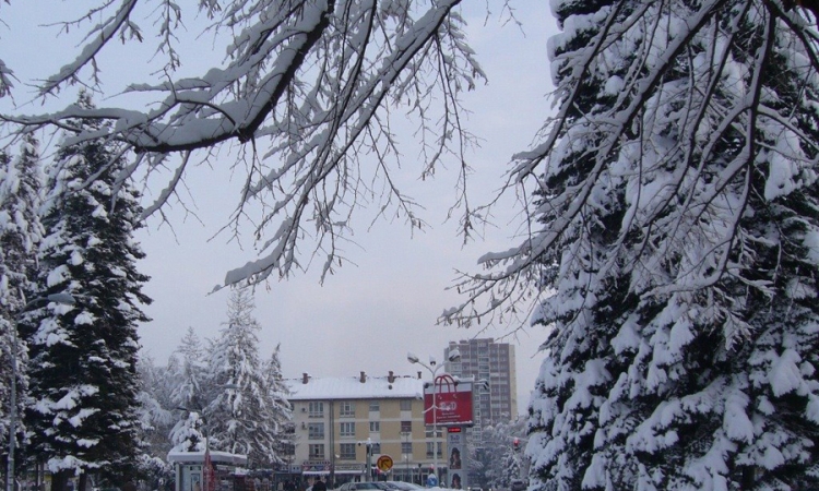Doboj pod snijegom, oboreno 30 stabala