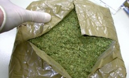 Slovenija: 11 hiljada potpisa za legalizaciju marihuane