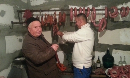 Zbog sudžuka "potkivali" mačke