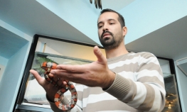 I piton među stanarima u akvarijum na PMF-u