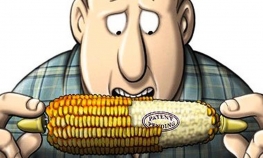 Monsanto dolazi u Hrvatsku