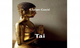 Gocićev Tai zaslužio Crnjanskog