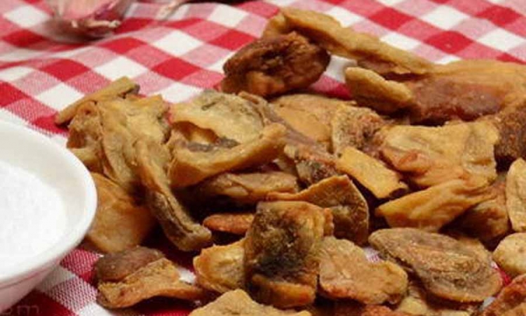 Počinje Festival čvaraka na Paliću