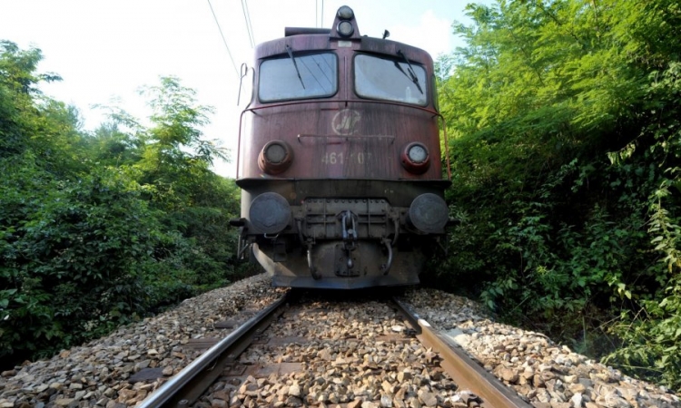 Putnički voz pregazio osam krava  kod Drniša