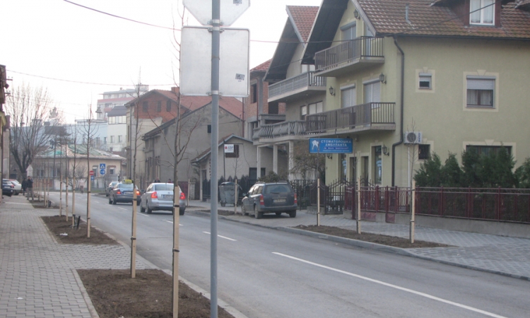  Novi drvoredi u centru Bijeljine