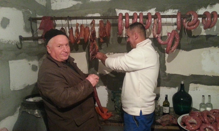 Zbog sudžuka "potkivali" mačke