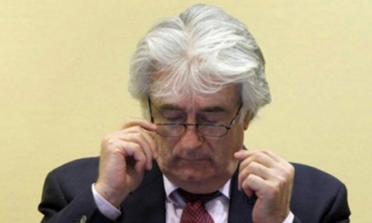 Karadžić traži sastanak s Asanžom