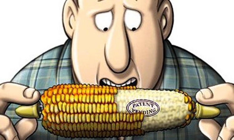 Monsanto dolazi u Hrvatsku