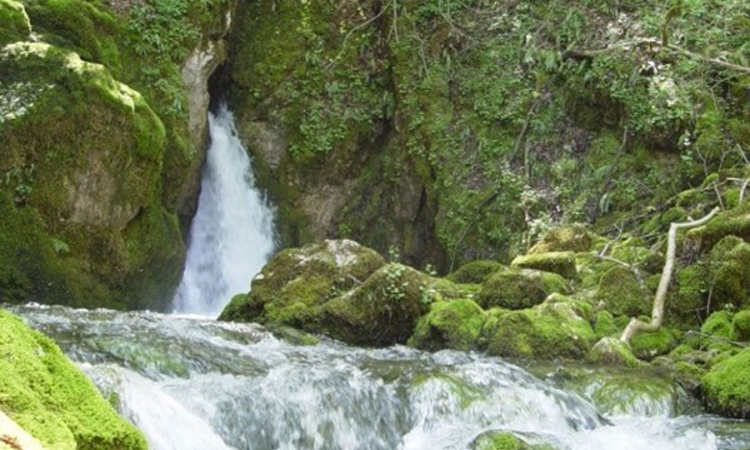 Banjalučki sud poništio ekološku dozvolu za MHE na izvorima Sane