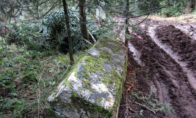 Nekropola na Ozrenu pred uništenjem - balvani važniji od stećaka?
