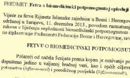 Rijaset IZ: Surogat-majčinstvo zabranjeno fetvom