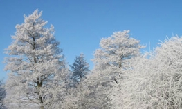 Na pragu  novog lednog doba
