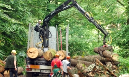 Opštine od Šuma RS potražuju 6,1 milion