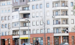 Stanovi puni mrava