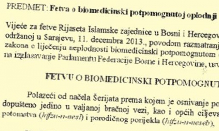 Rijaset IZ: Surogat-majčinstvo zabranjeno fetvom