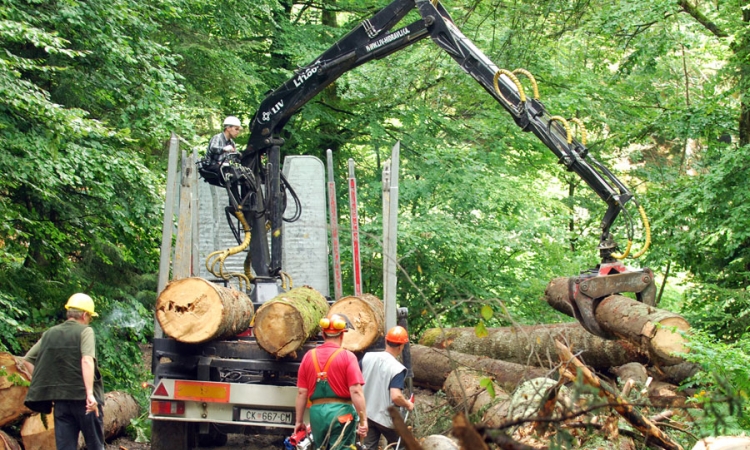 Opštine od Šuma RS potražuju 6,1 milion
