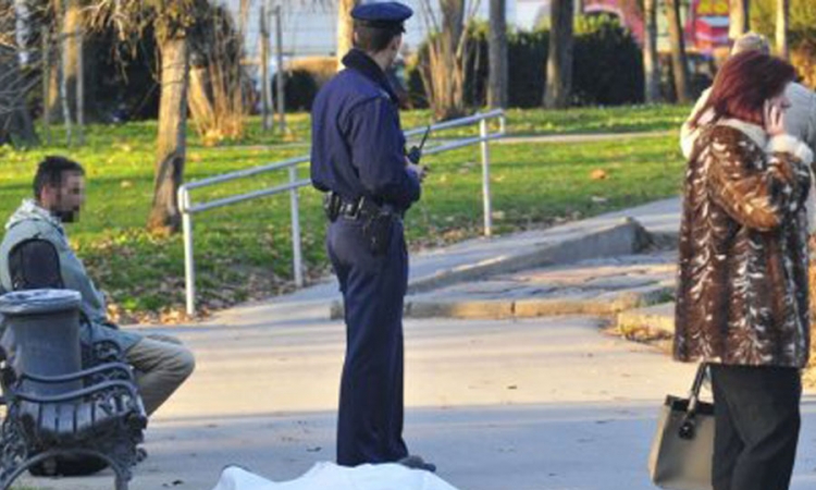 Novi Sad: Djevojka pala mrtva u Dunavskom parku, drugarice pobjegle