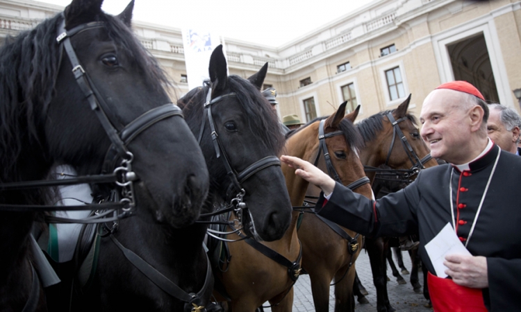 Životinje blagoslovljene u Vatikanu