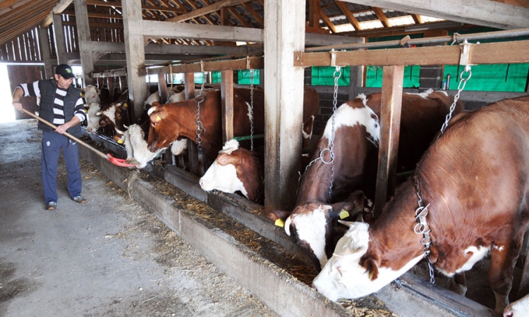 Farmeri iz RS se snašli i bez hrvatskog tržišta