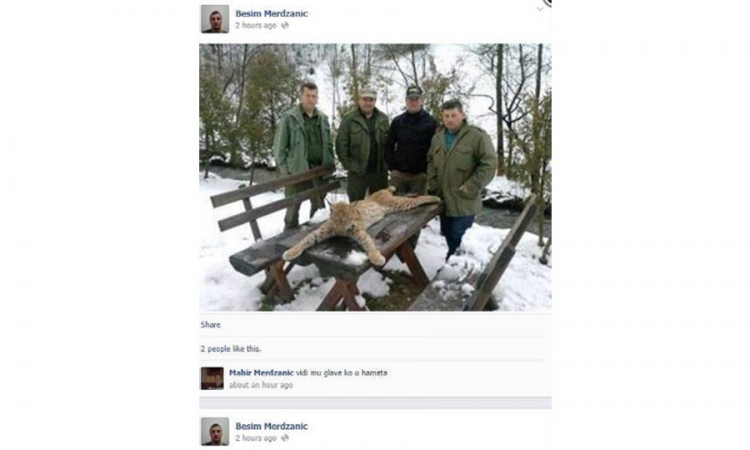 Ustrijelili risa, koji je zaštićena vrsta, pa se hvalili na Facebooku
